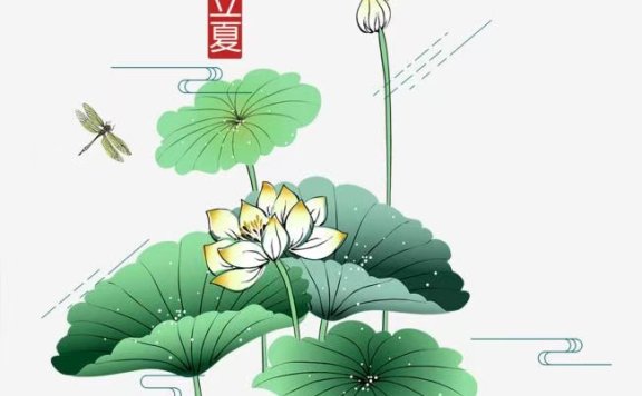 立夏日怀念阿婆