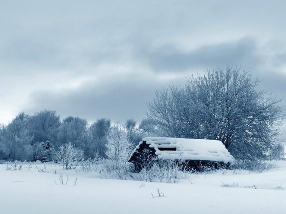 2024年的第一场雪