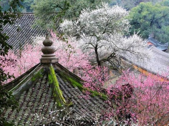 故地重游,感受古刹的静谧与禅意