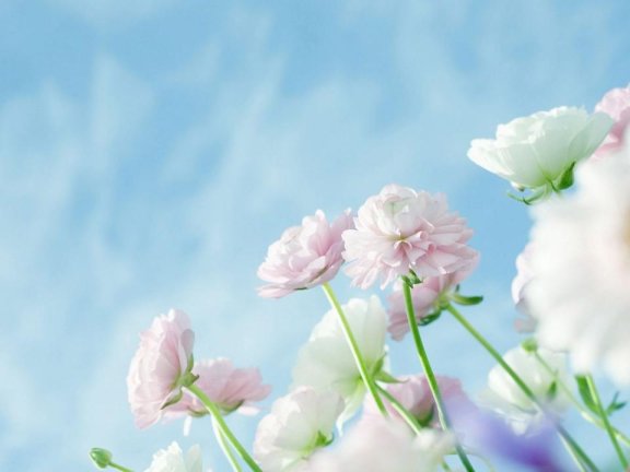 下雨的声音 来自大自然的馈赠