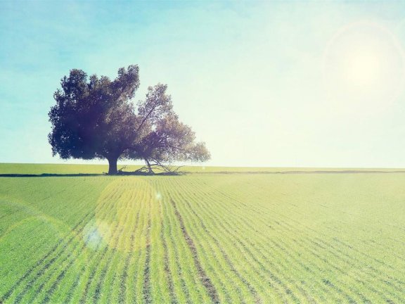 今日冬至 我们天台冬至的习俗