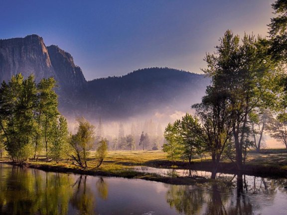 清明时节雨纷纷