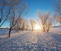 超实用的冬季雪景拍摄技巧